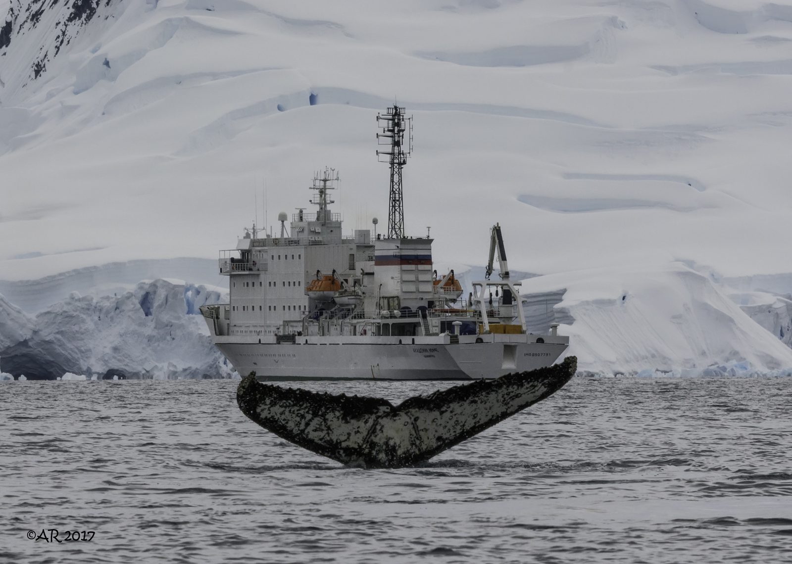 An expedition ship among the ice off the Antarctic Peninsula