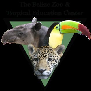Belize Zoo