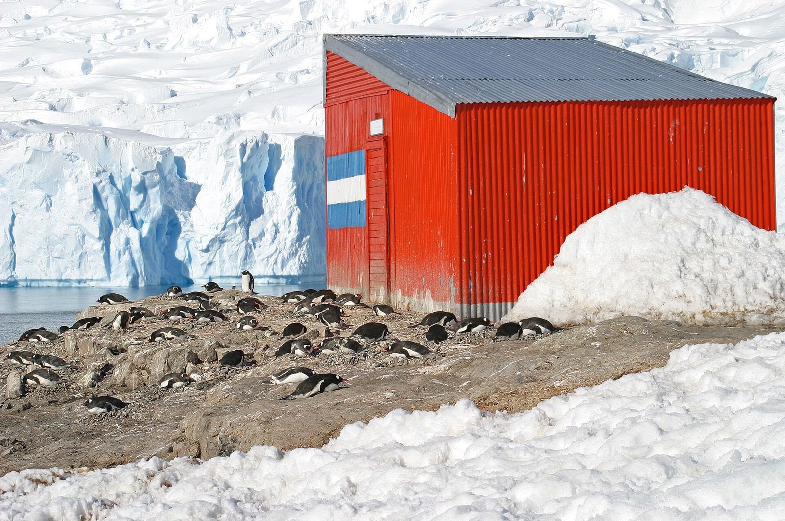 Neko Harbour, Antarctica