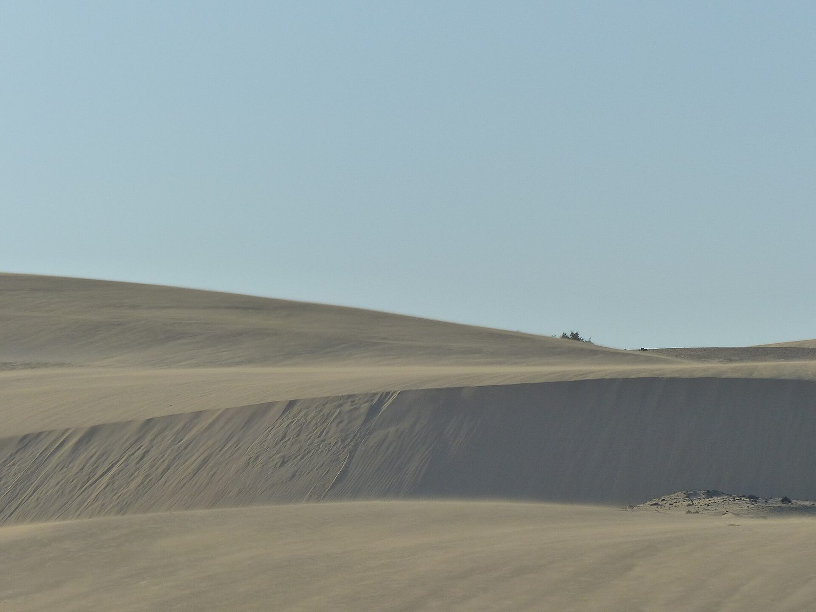 Fuerteventura