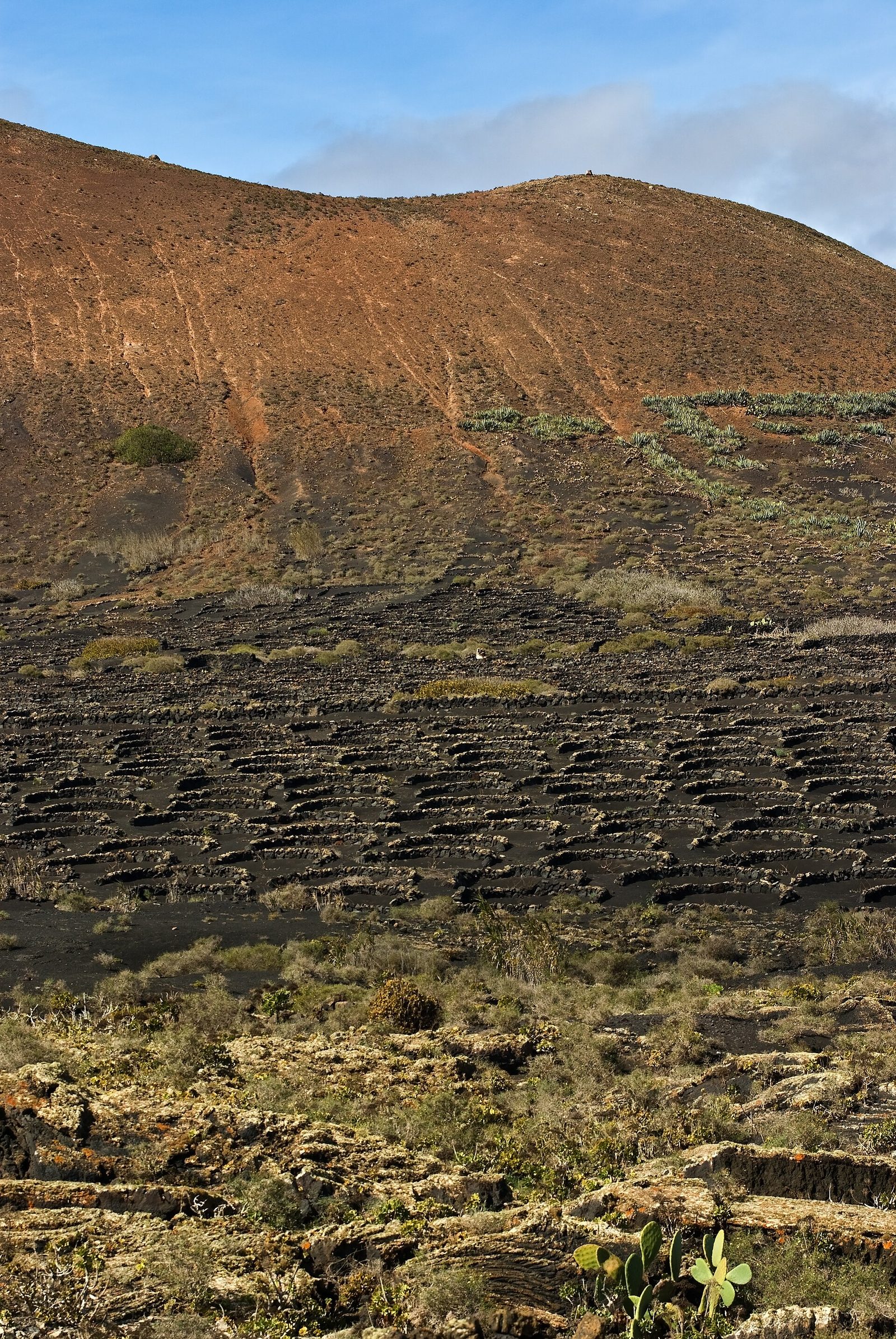 La Geria, Lanzarote
