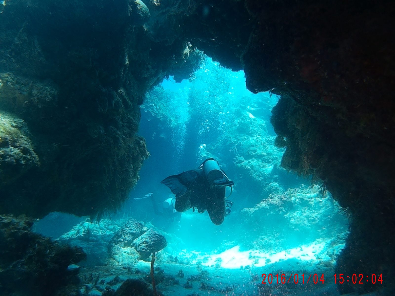 Palancar Reef snorkeling
