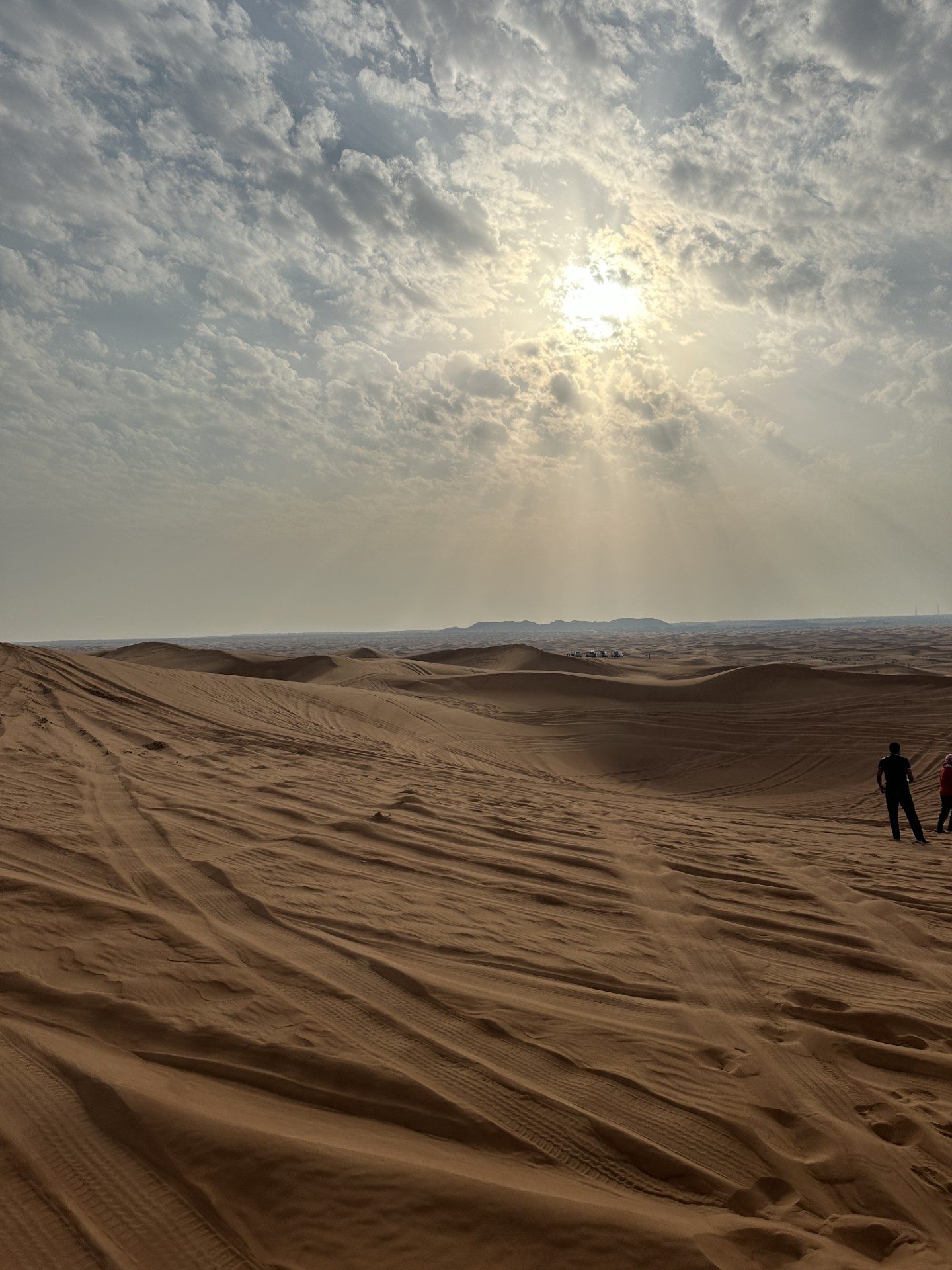 Desert safari