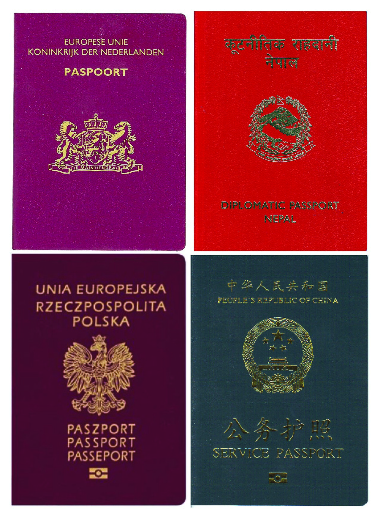 Passport