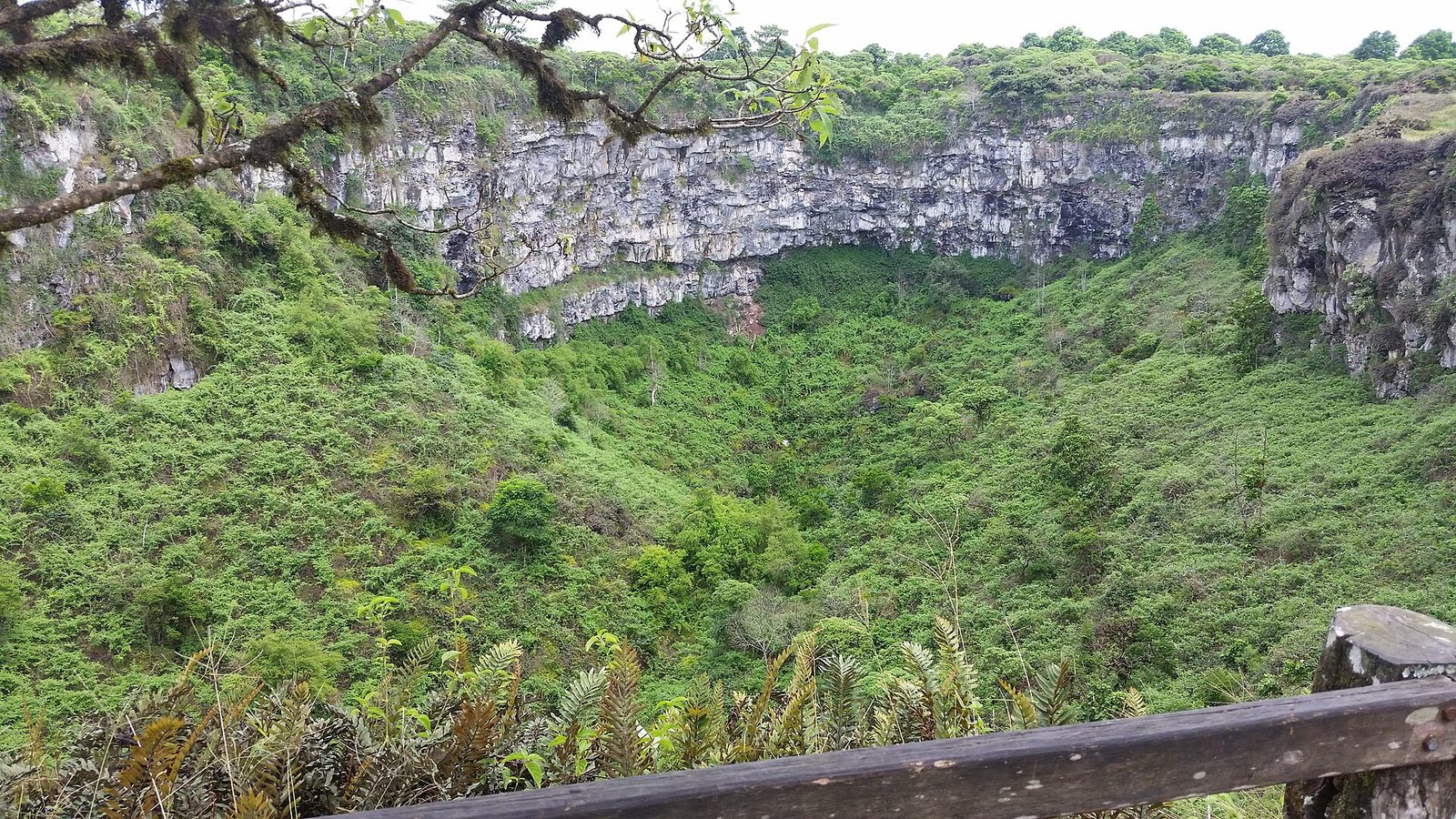 Santa Cruz