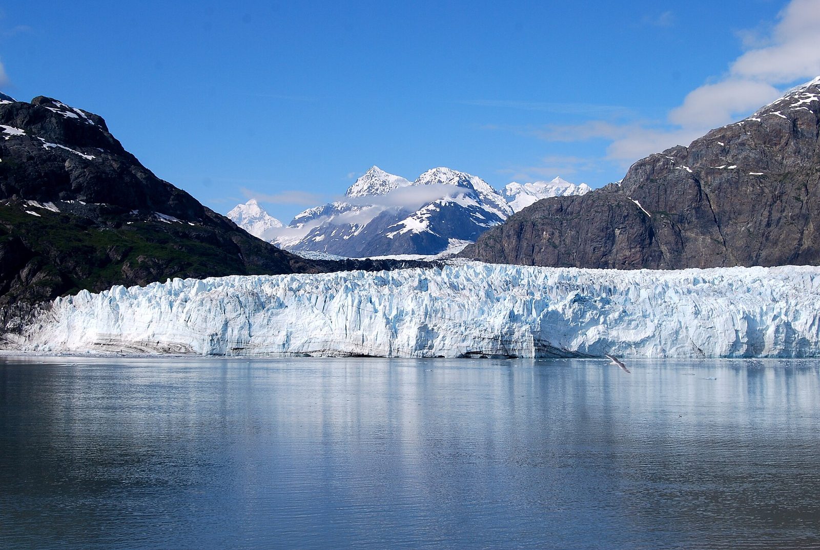 Glacier Bay Port Guide: Alaska’s Best Scenic-Cruising Day