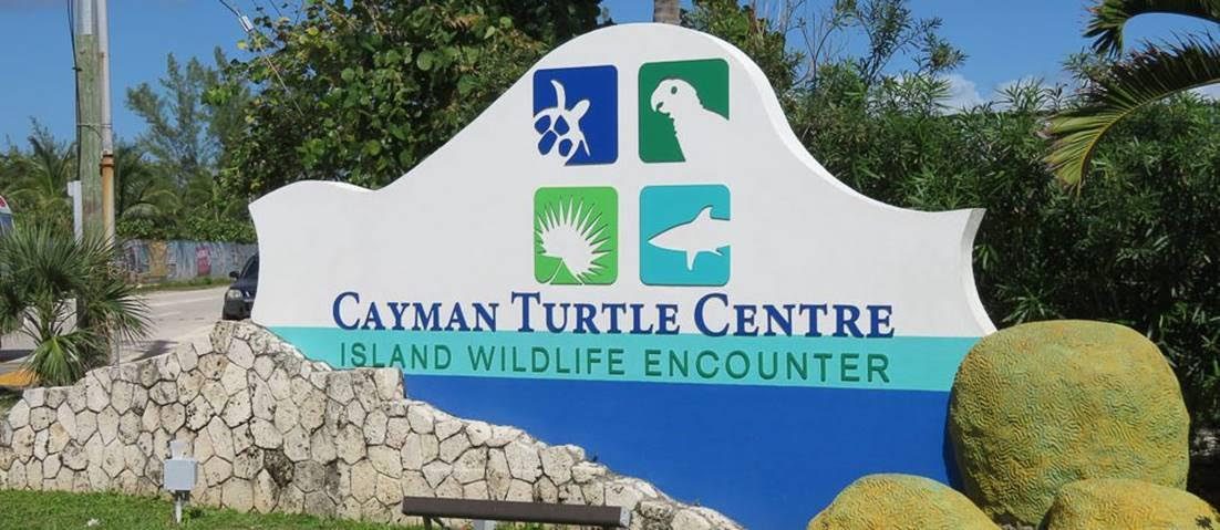 Cayman Turtle Centre