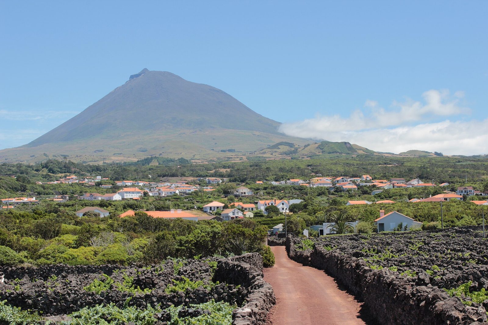 Pico
