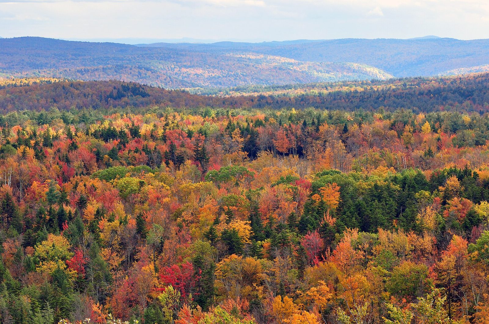 Autumn foliage in Vermont