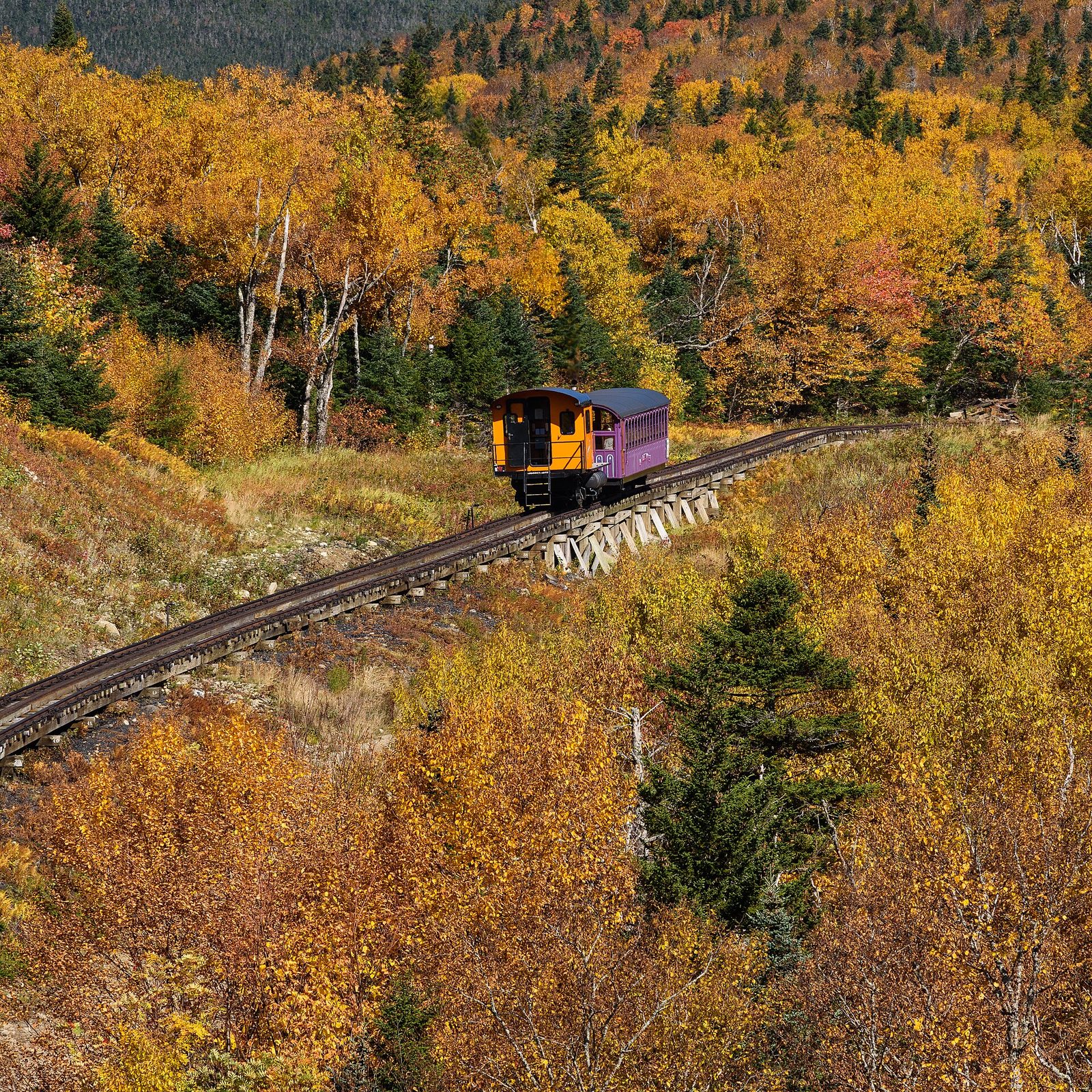 White Mountains