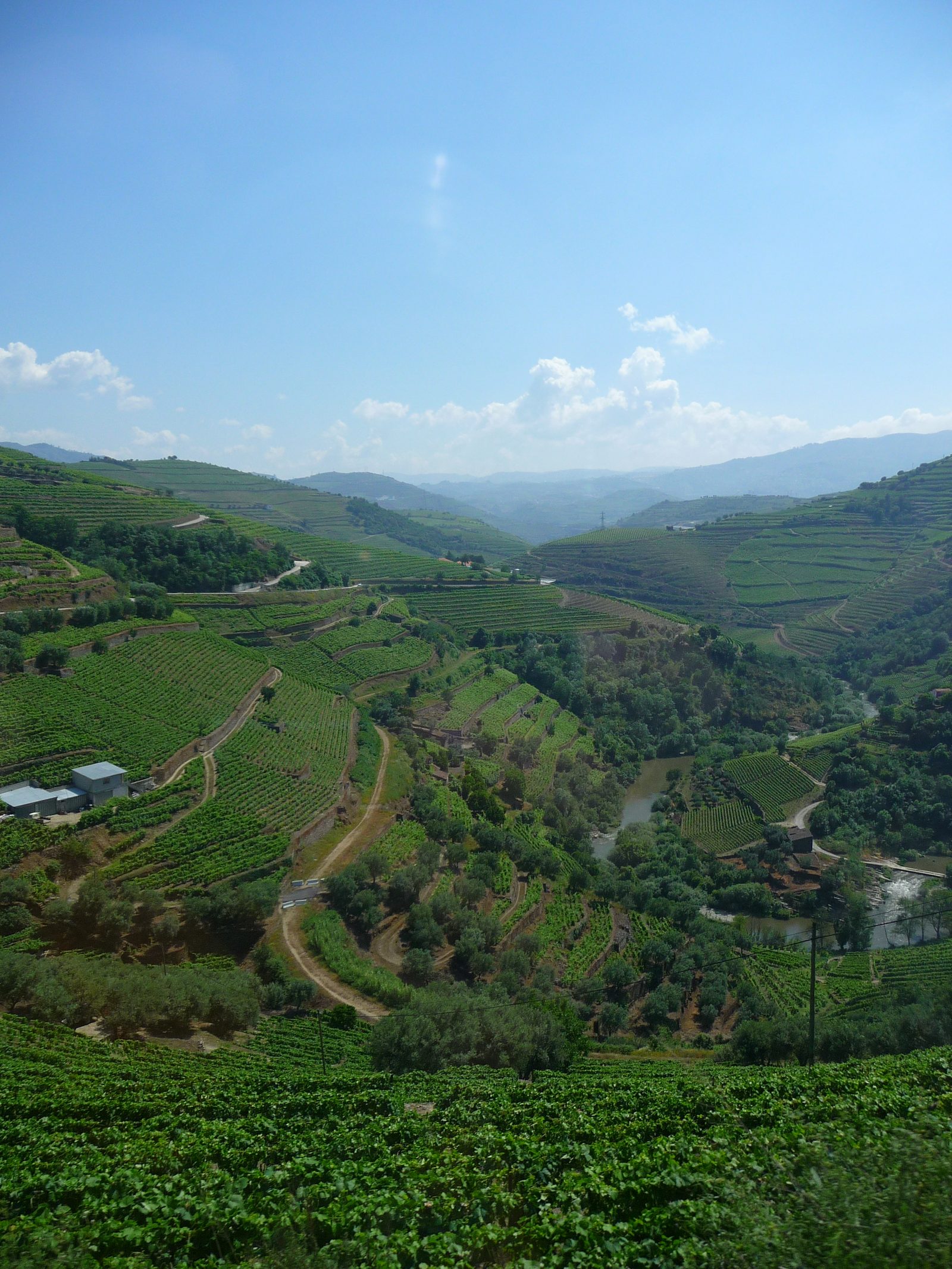 Alto Douro Wine Region