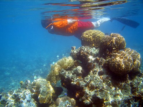 Snorkeling