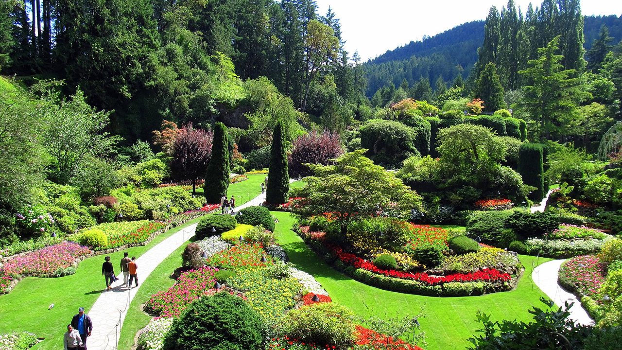 Der Sunken Garden in Butchart Gardens: gewundene Wege durch Blumenbeete und geschnittene Sträucher, hohe Nadelbäume und ein bewaldeter Hügel dahinter