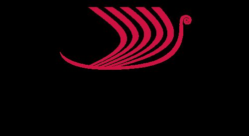 Viking Longship