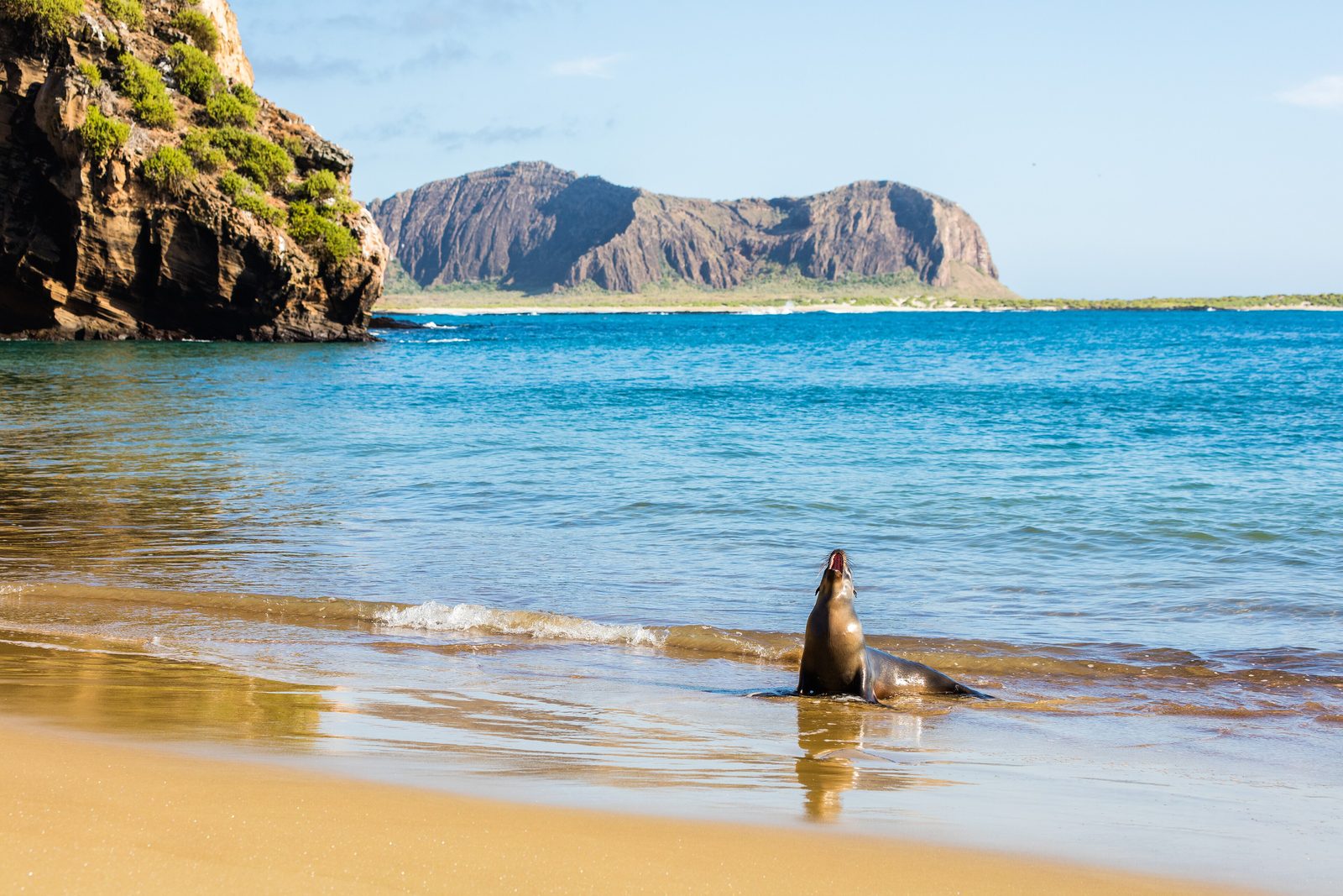 Galapagos