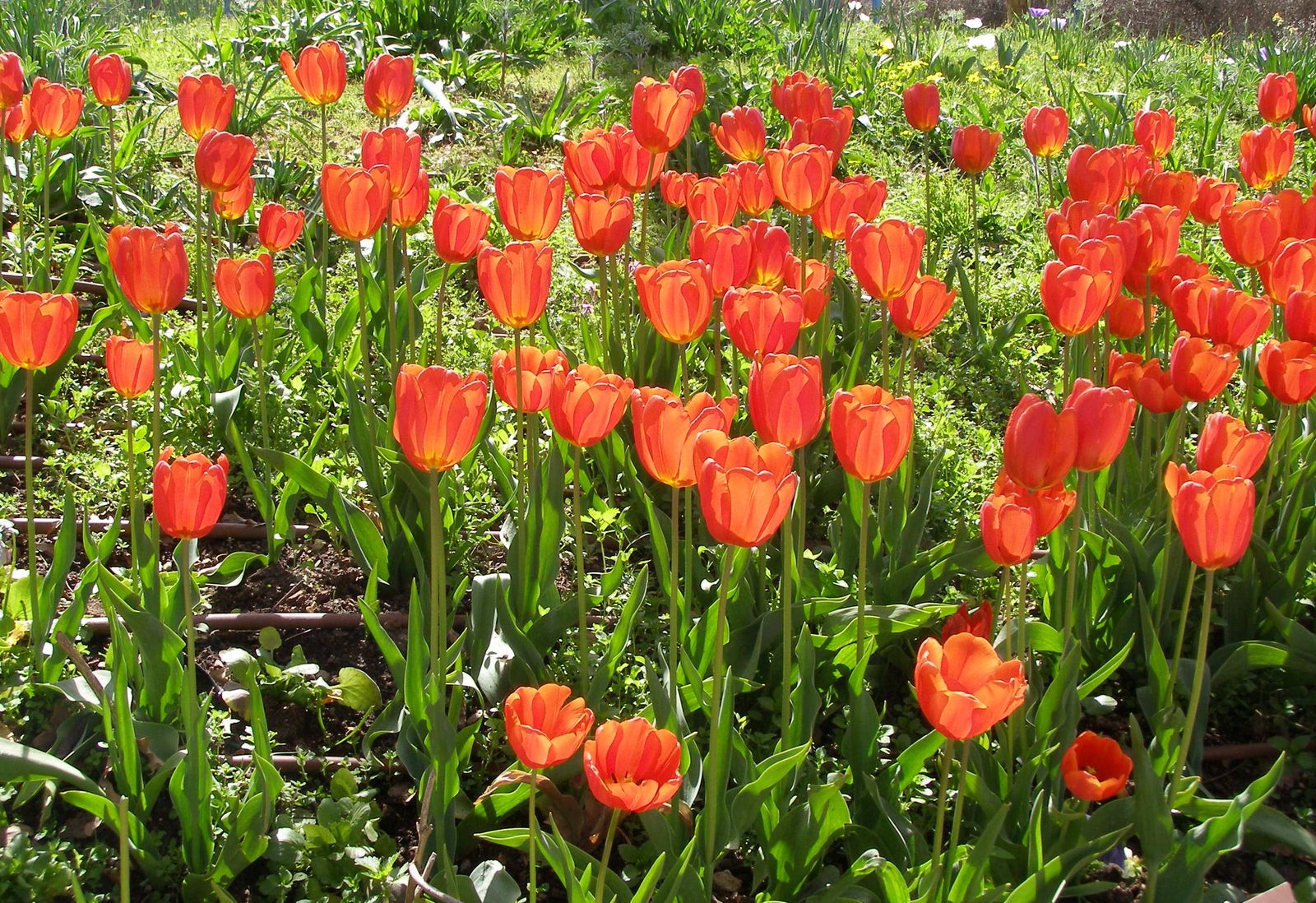 April