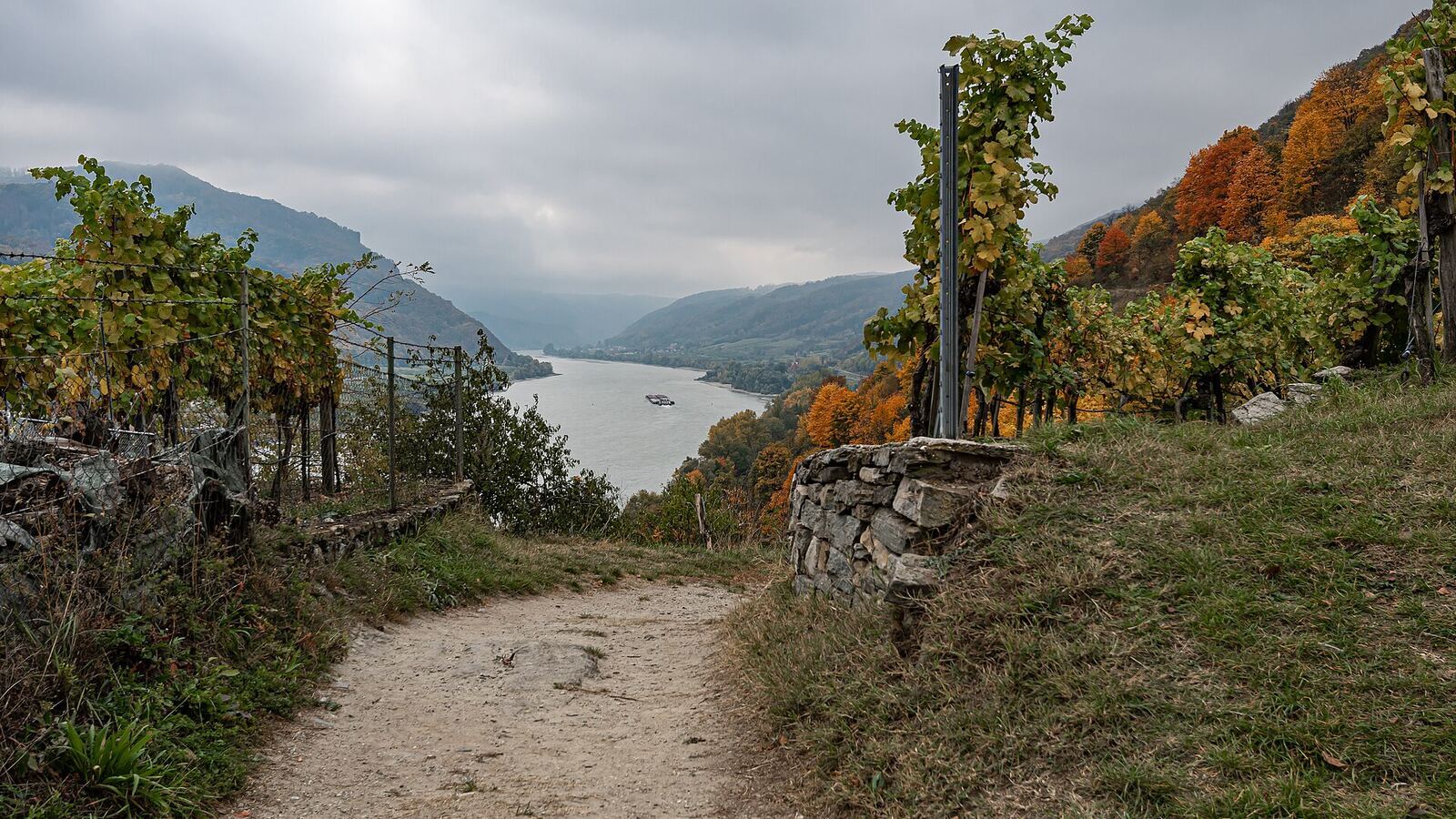 Donau-Kreuzfahrt — 14 Tage