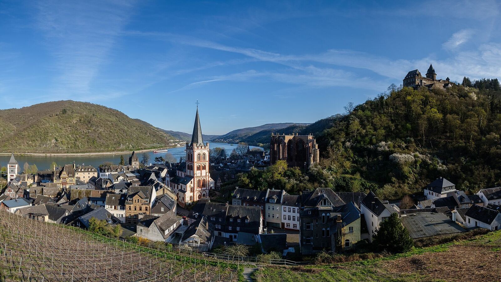 Rhein-Kreuzfahrt — 7 Tage