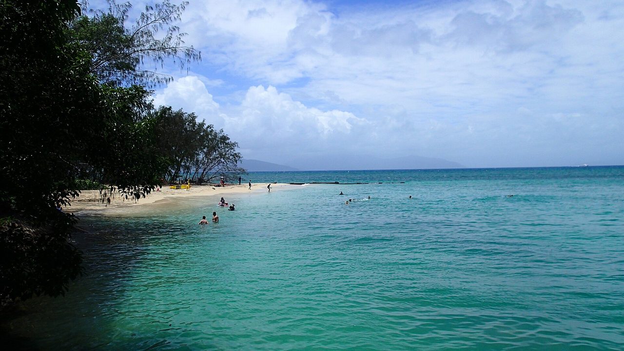 Der Strand auf Green Island vor Cairns: weißer Sand, schattenspendende Bäume und türkisfarbenes Riffwasser mit Badenden