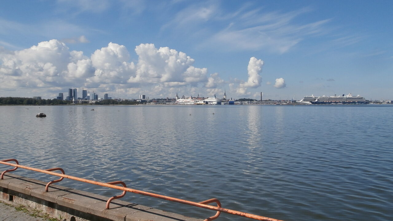 Blick über ruhiges Wasser auf die Skyline und den Hafen von Tallinn, an den Kais Fähren und ein Kreuzfahrtschiff