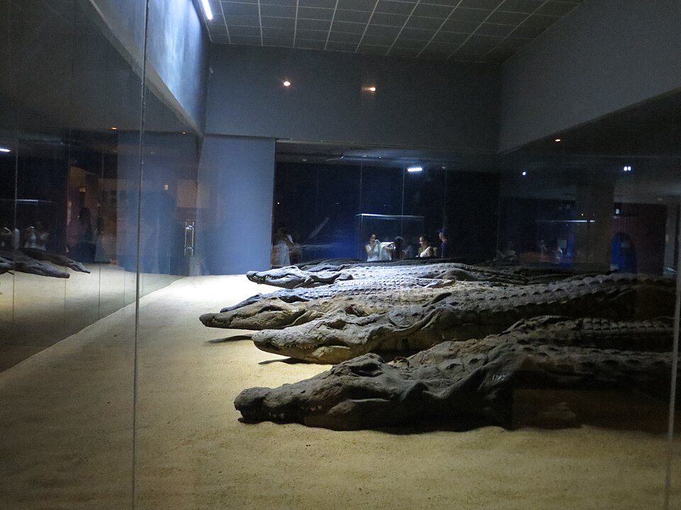 Crocodile Museum