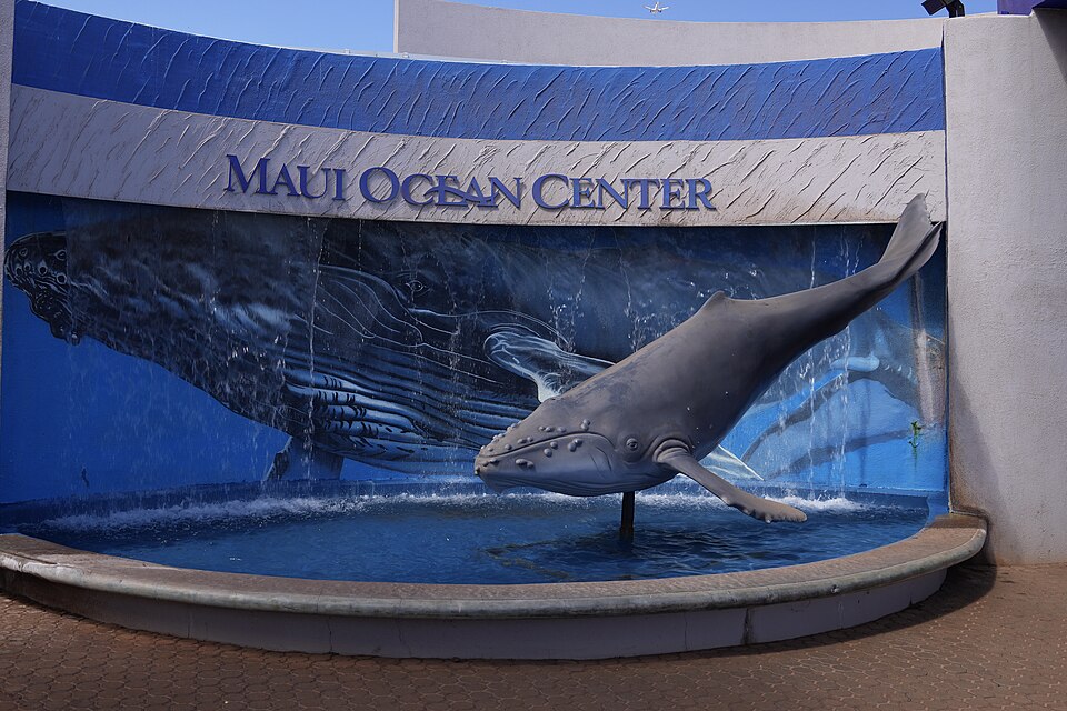 Maui Ocean Center
