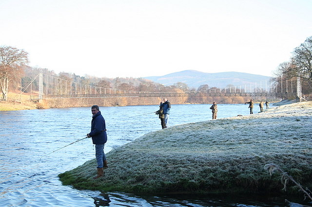 Salmon Season
