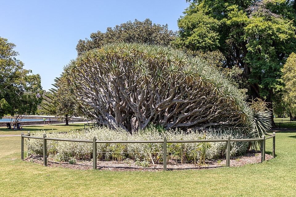 Royal Botanic Garden Sydney