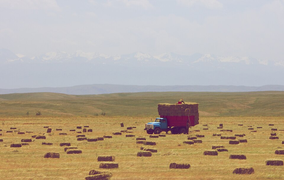 Harvest Season