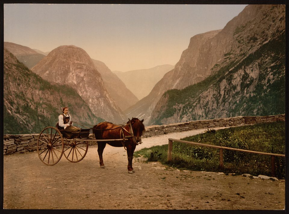 Norwegian Fjord Centre