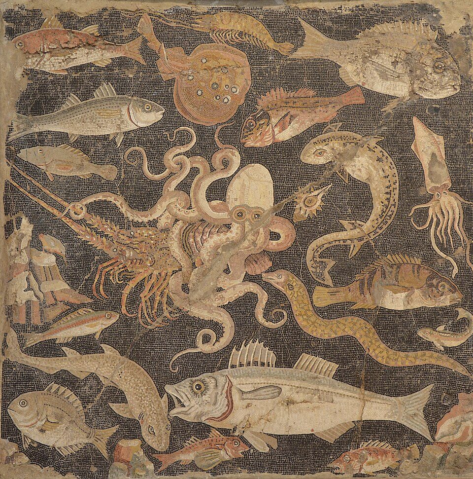 National Archaeological Museum of Naples (MANN)