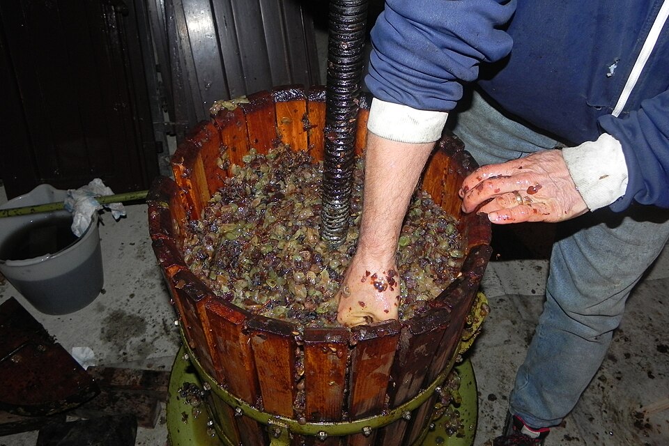 Santo Wines