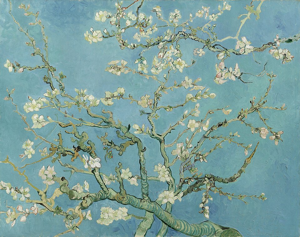 Almond Blossom Season
