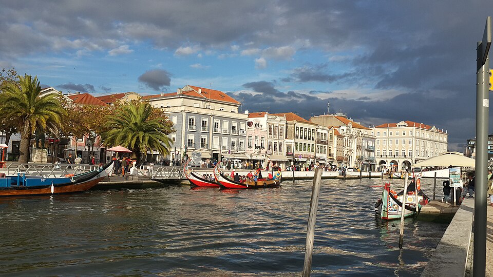 Moliceiro Boat Tour